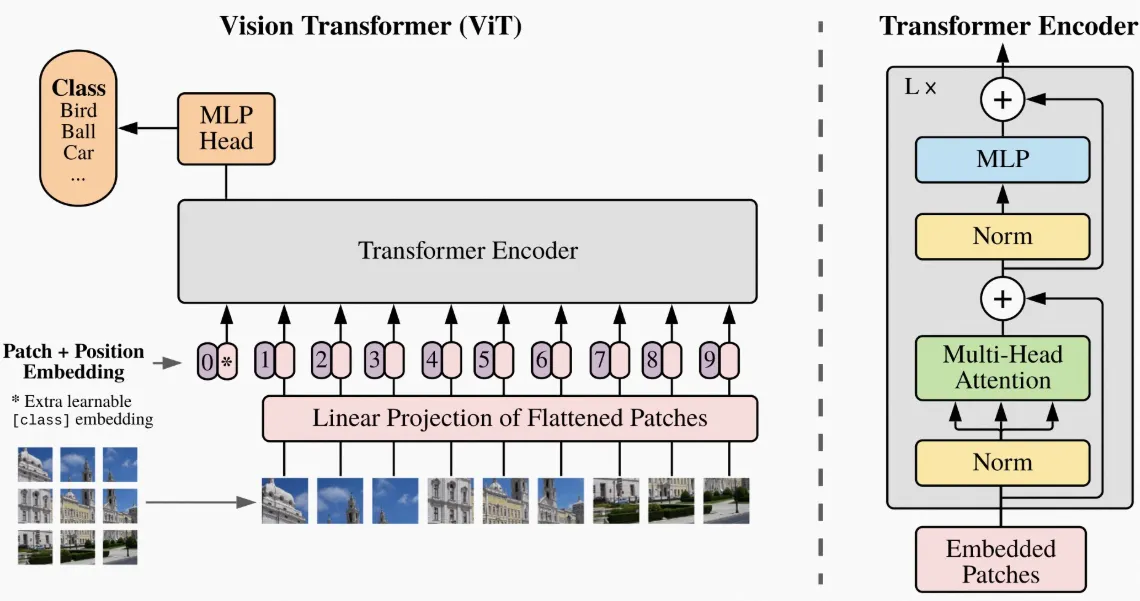ViT Transformer 的阅读?(应该算是阅读吧)